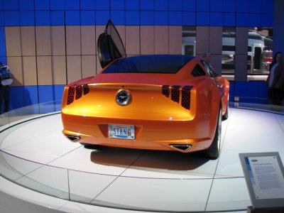 2449.JPG