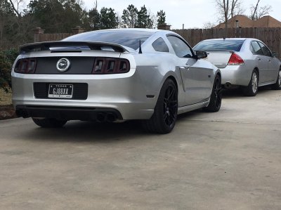 mustang1.jpg