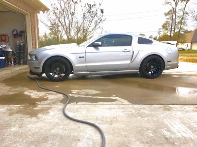 mustang3.jpg