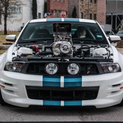mustang_2017_02.jpg