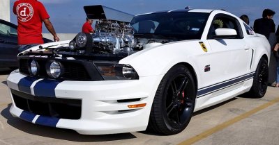 mustang_2017_01.jpg