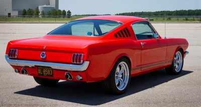 Mustang-5826.jpg