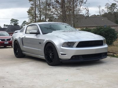mustang2.jpg