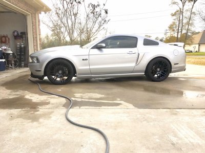 mustang3.jpg