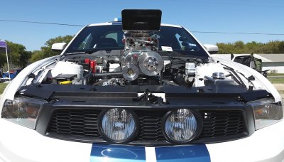 bulverde_03.jpg