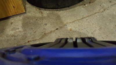 20170430_174703.jpg