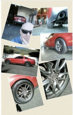 StangCollage.jpg