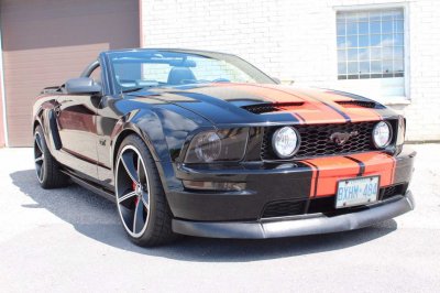 Stang.jpg
