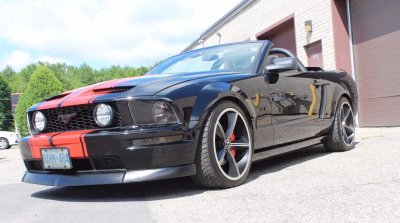 Stang2.jpg