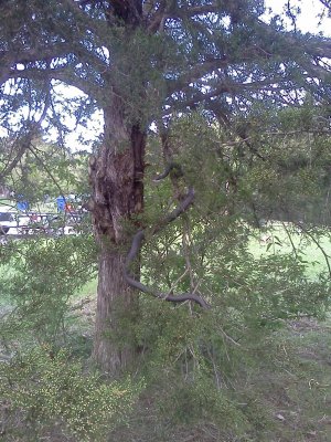 IMG_20130502_122756.jpg