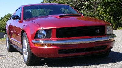 fef.jpg