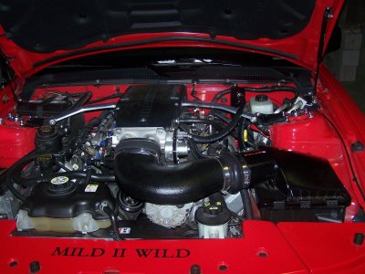 000_0530_831abb36fe67964e1e0c758720c67d40a4fdef64.jpg
