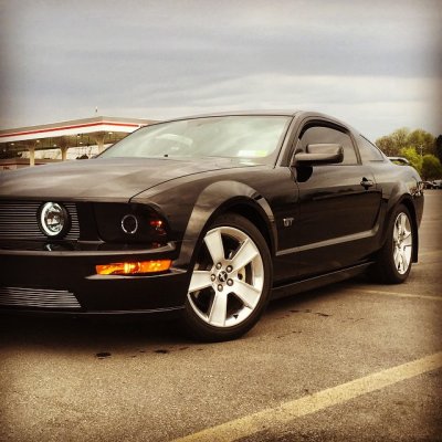 Clean Pony.jpg