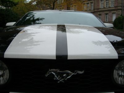 s197.jpg