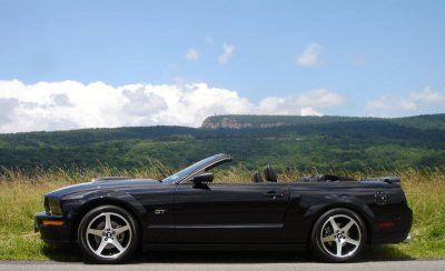 MoStang_Mohonk_Side.jpg