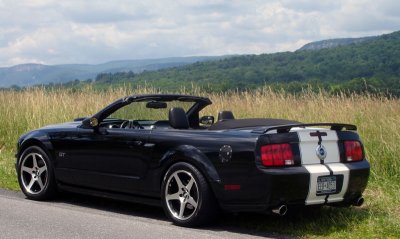 MoStang_Mohonk_Side_Rear.jpg