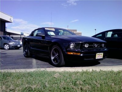 stang.jpg