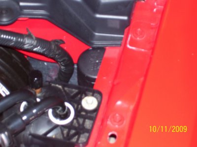 trans 005.jpg