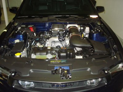 Whipple 018.jpg