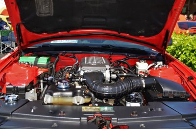 DSC_4137.JPG
