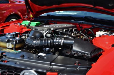 DSC_4135.JPG