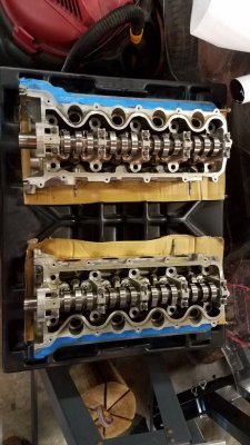 20180209_184613.jpg