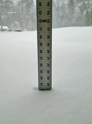 20180313_snow7.jpg