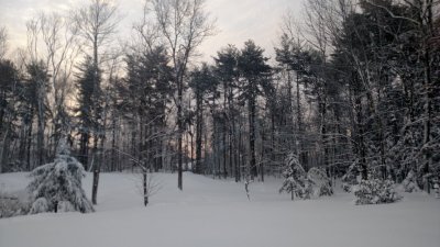 IMG_20180314_071351378.jpg