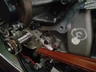 20180327_150126.jpg