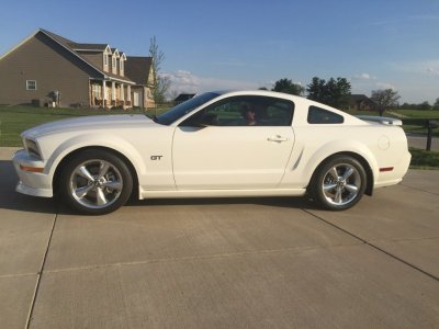 Mustang 1.jpg Mustang 1.jpg