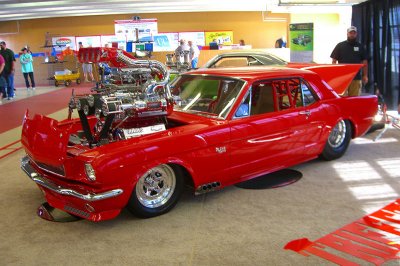 Mustang.jpg