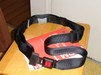 Supplemental Lap Belt web.jpg