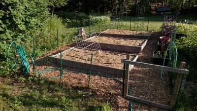 raised_beds_20180610.jpg