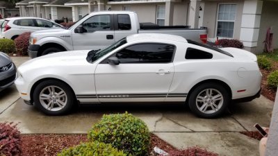 20180527_160729[1].jpg