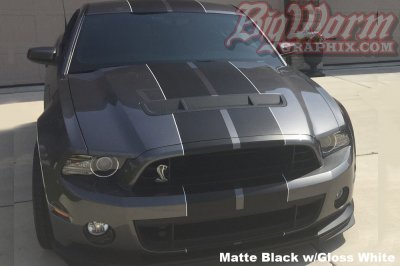 2013-14-gt500-gray-matte-blk-white-dual.jpg 2013-14-gt500-gray-matte-blk-white-dual.jpg