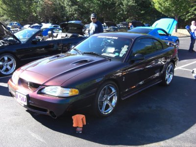 CIMG2901.JPG