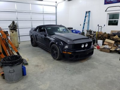 20181124_205057.jpg