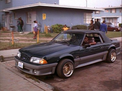 mustang5.jpg