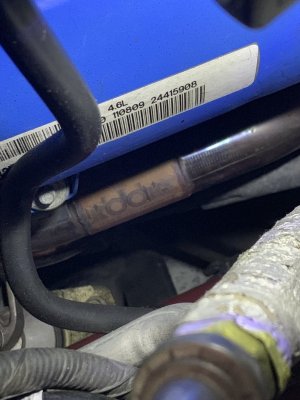 8B3D0C07-906E-48D2-9DF5-9516C8769D41.jpeg