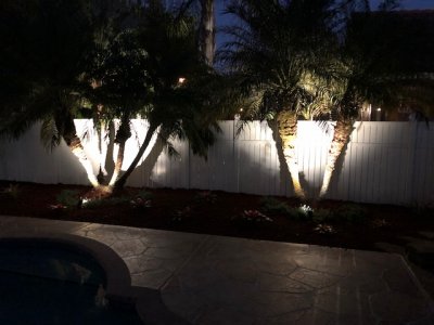IMG_5508.jpg