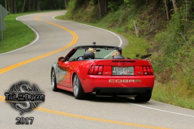 Tail of the Dragon 2017 Back End Version 2.jpg