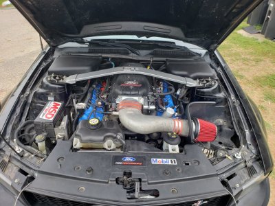 20190406_115004.jpg