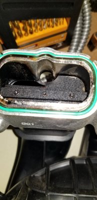 20190420_105254.jpg