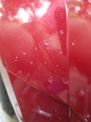 20190429_175159.jpg