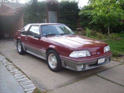 My Stang.jpg
