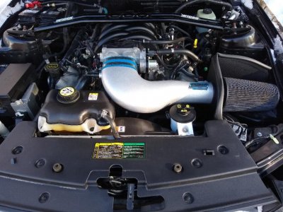 Mustang1.jpg
