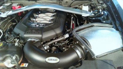 My engine bay.jpg