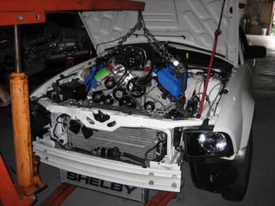 IMG_4215.JPG