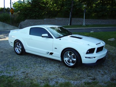 Branford Mustang shots 003.jpg