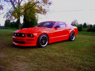 mustang2.jpg